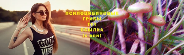 первитин Алексеевка
