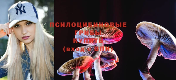 спайс Алексин