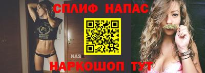 mdpv Новодвинск