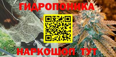 mix Новозыбков