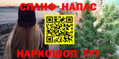 mdpv Новодвинск