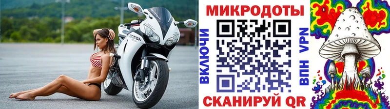 omg онион  Чистополь  Галлюциногенные грибы мицелий 