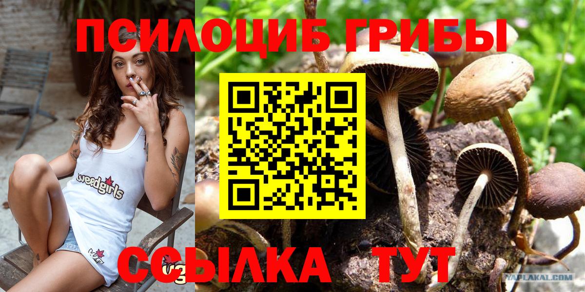Галлюциногенные грибы мицелий Чистополь